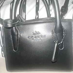 Coach Mini Andrea Carry All